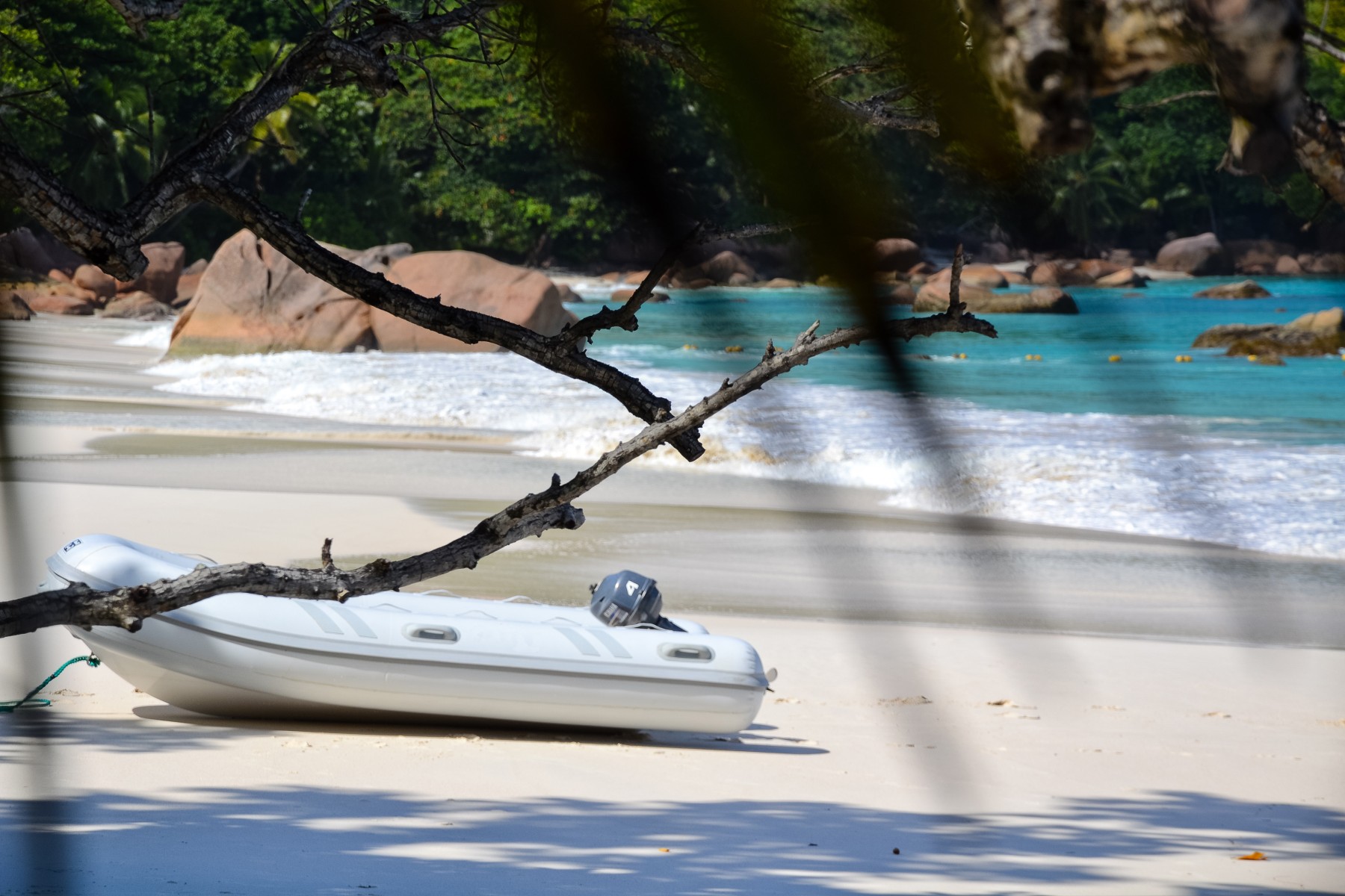Praslin Dream